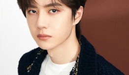 娱记猪皮爆料王一博视频,娱记猪皮独家爆料引网友热议